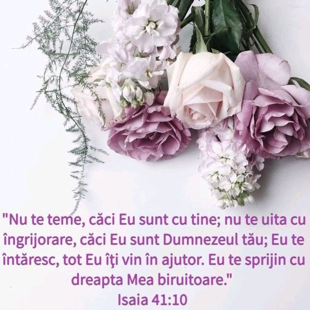 749F961C-617B-4581-AAA4-4D3C4625D204 - Minuni din creatia Domnului