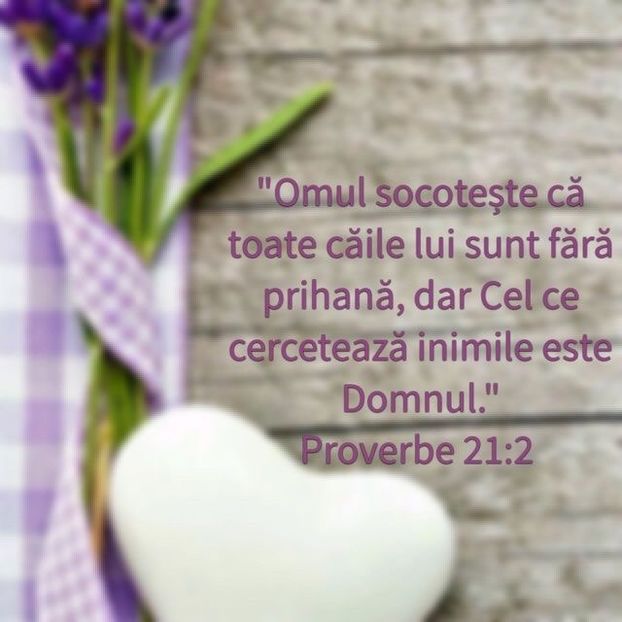 ECE8E34B-47A3-4E4F-B137-B6BA60B70FD4 - Minuni din creatia Domnului