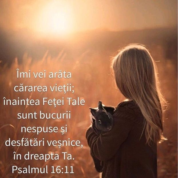 C82EBA27-7A8E-41DE-A289-6BD835B5A20A - Minuni din creatia Domnului