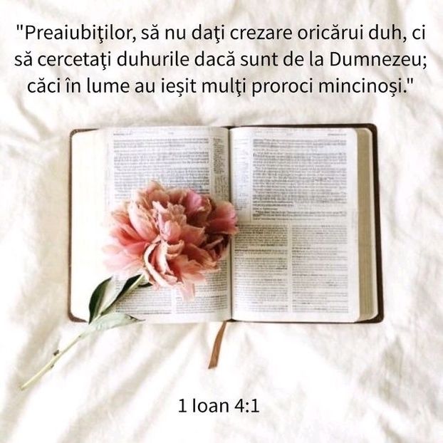 728F8DB5-89F2-463B-B078-A7876419FFBC - Minuni din creatia Domnului