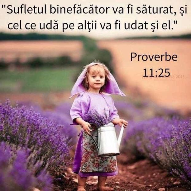 6357E42B-60E2-4010-97B5-62FA804D1C30 - Minuni din creatia Domnului