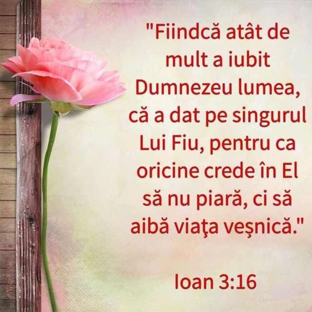 31662579-996F-4E15-955E-9950576DCD15 - Minuni din creatia Domnului