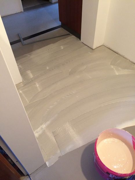 Lipiciul 12.03.2019 - Holul