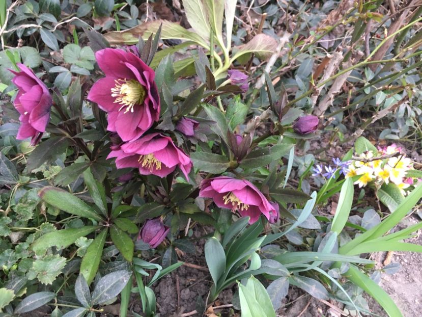 05F5A582-40ED-47E3-9D6D-0FDA7629BDCF - Martie