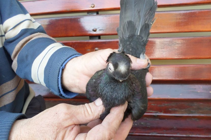 SAM_1332 - POZE 2019