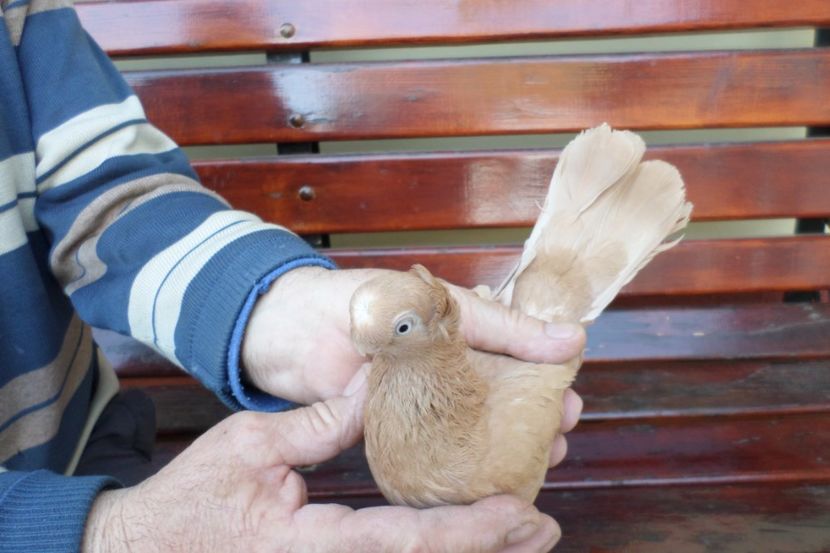 SAM_1334 - POZE 2019