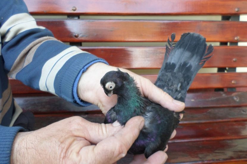 SAM_1338 - POZE 2019