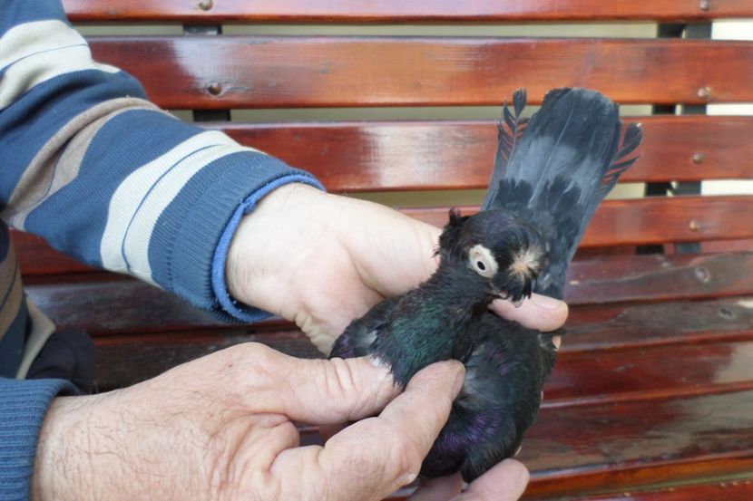 SAM_1339 - POZE 2019