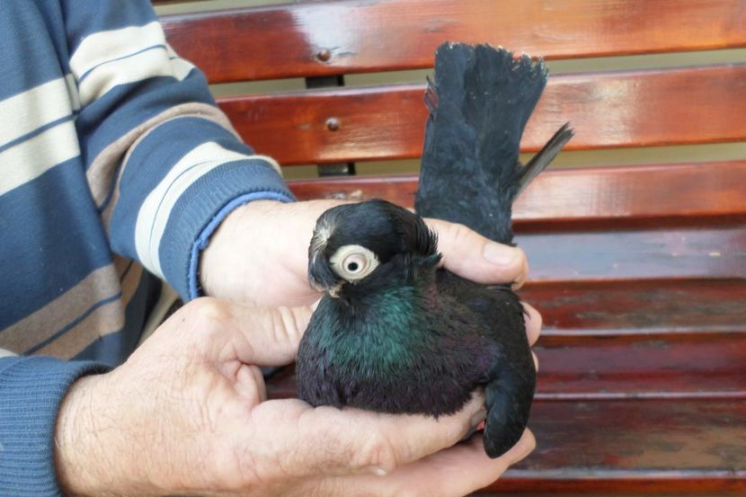 SAM_1344 - POZE 2019