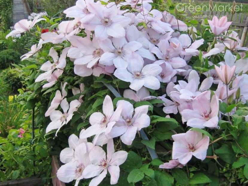 jan pawel II-8 - JAN PAWEL II