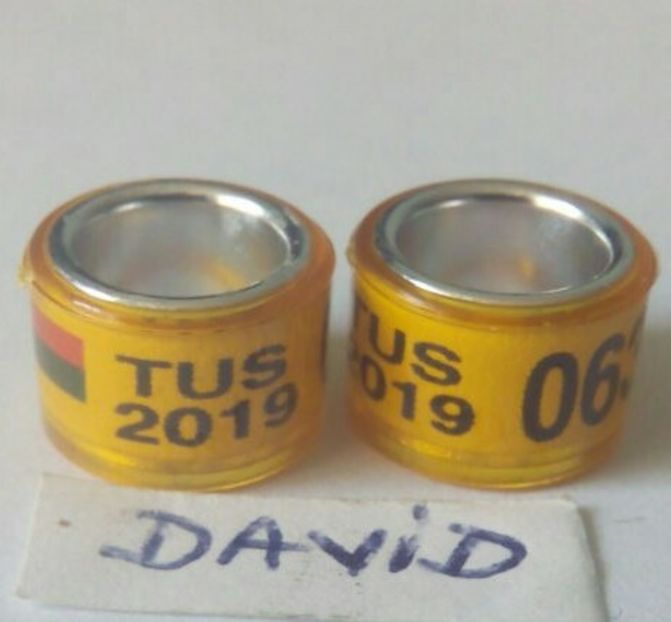 2019-7 mm....-1 leu - Inele porumbei 2019 de vanzare