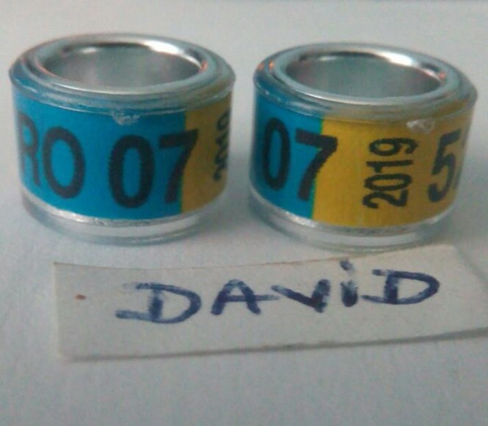 2019-7 mm....-1 leu - Inele porumbei 2019 de vanzare