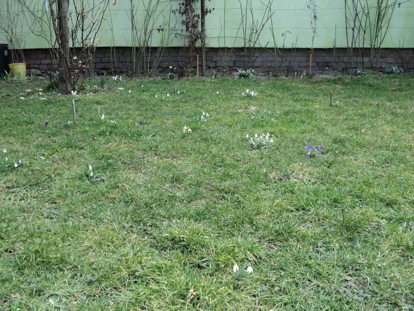 12 mart.2019 - Primavara