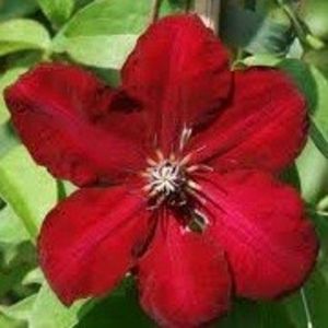 solidamosc - 2 - SOLIDAMOSC