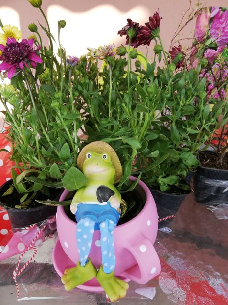  - 00- 2019- De primavara