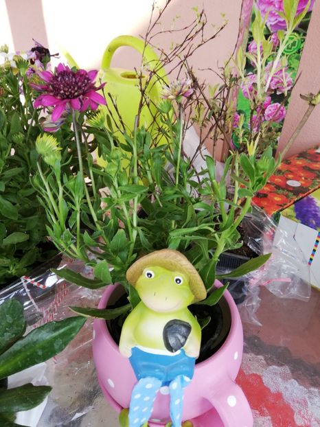  - 00- 2019- De primavara