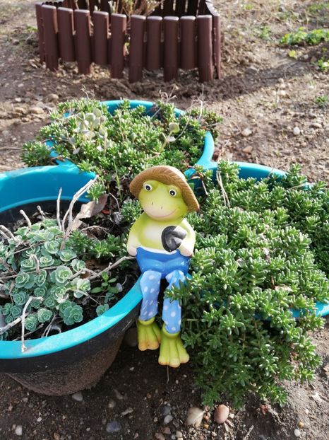  - 00- 2019- De primavara