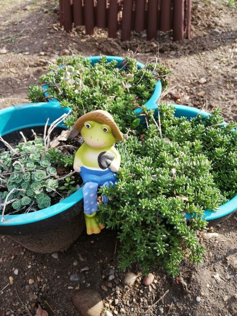  - 00- 2019- De primavara