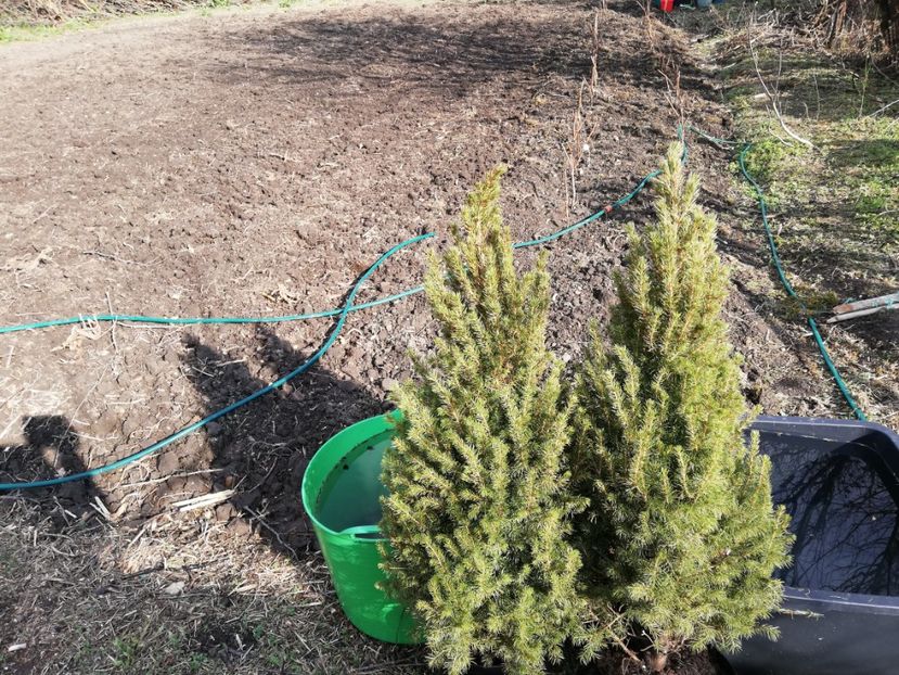  - 00- 2019- De primavara