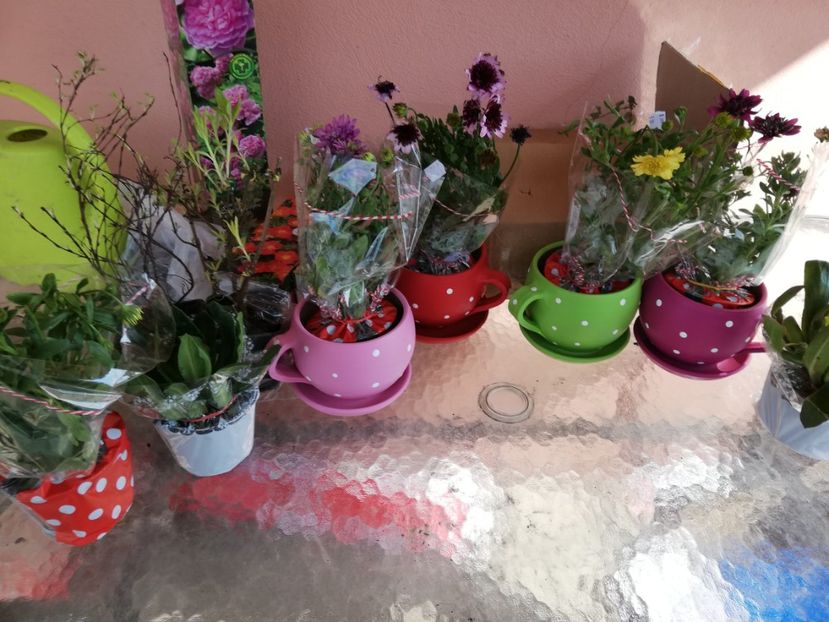  - 00- 2019- De primavara