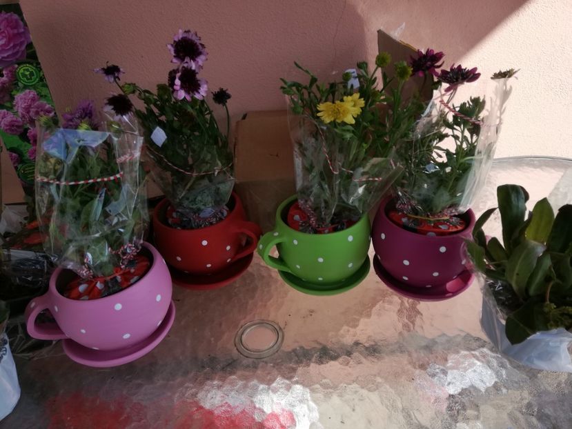  - 00- 2019- De primavara