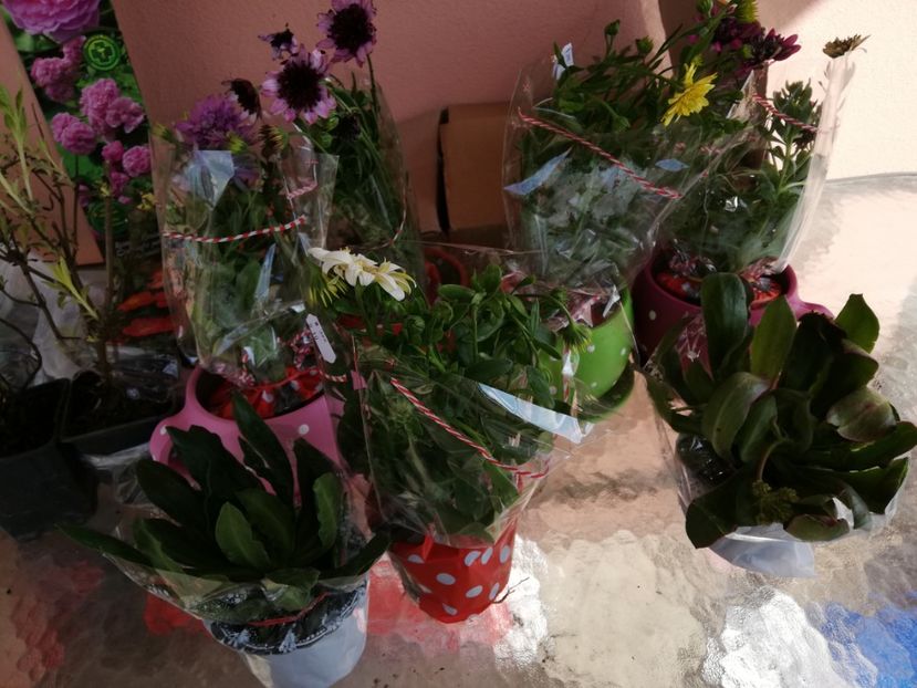  - 00- 2019- De primavara