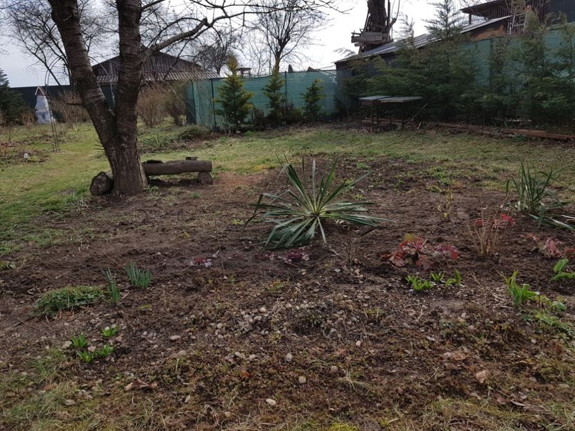 Am scos grilajul...cu Excelsa si New Dawn - 2019 Poiana Ciresului