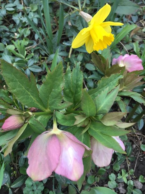 874B2021-B693-4F95-A6A2-71B7A574F8B2 - Martie