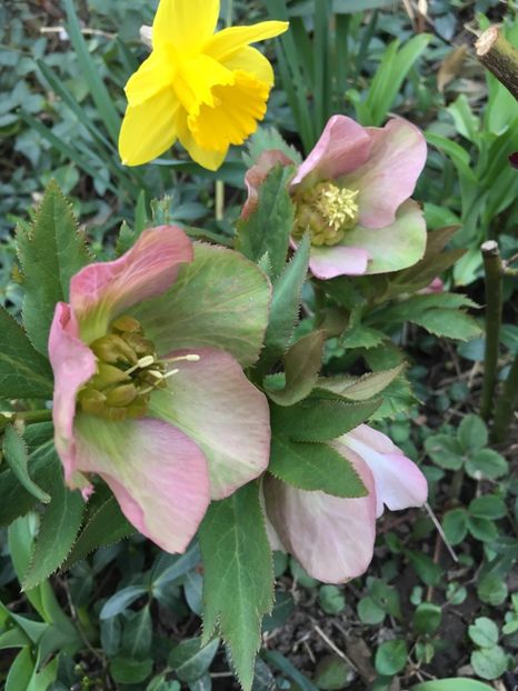 5CEF20C3-D2F0-4CC2-88BE-B47D1262A5C2 - Martie