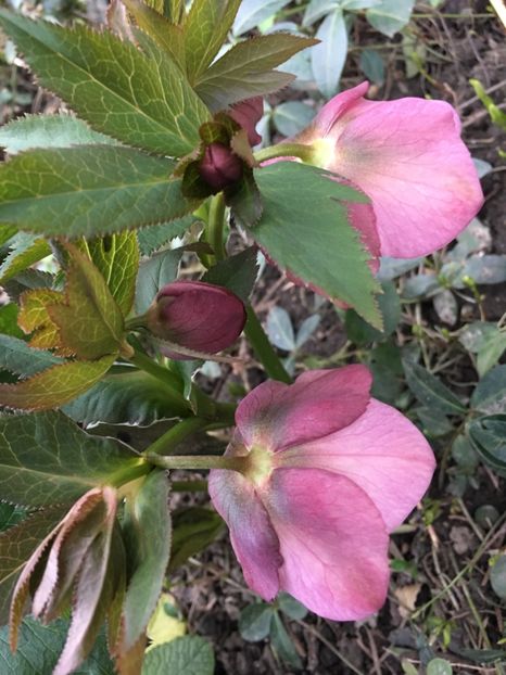 7B846C21-E3A1-4B08-A86F-69F410152545 - Martie