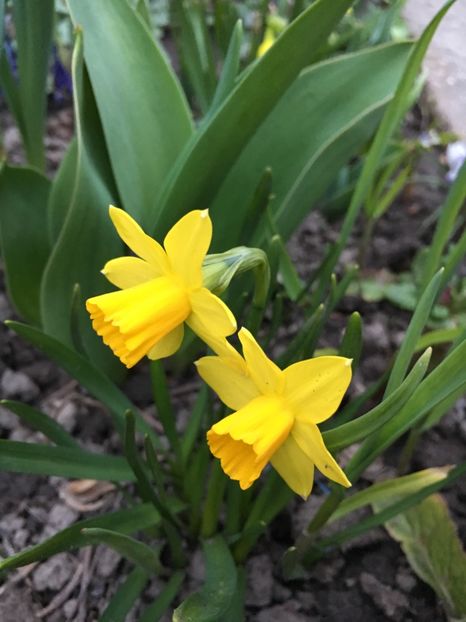 A35D142C-F61E-4F64-A95B-02D3C179249C - Martie