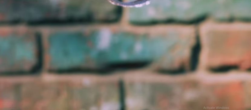 bandicam 2019-03-15 13-03-35-980 - Antidot