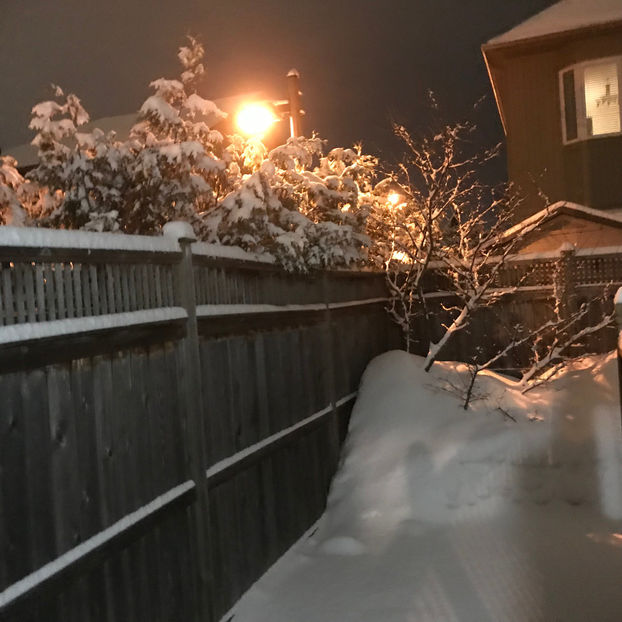  - Jurnalul gradinii 2019