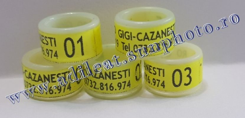 TextArt_190316073706 - 1-A-INELE PERSONALIZATE 2019