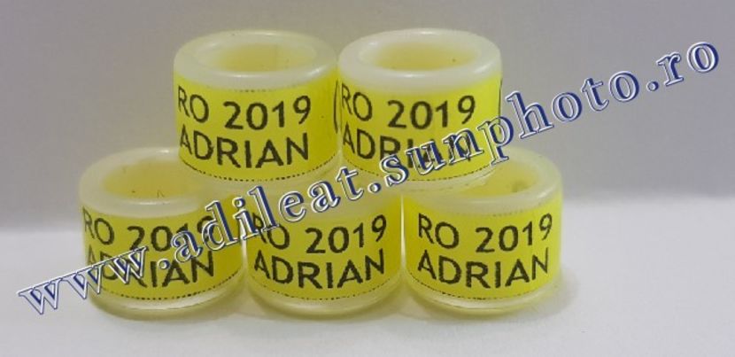 TextArt_190316073643 - 1-A-INELE PERSONALIZATE 2019