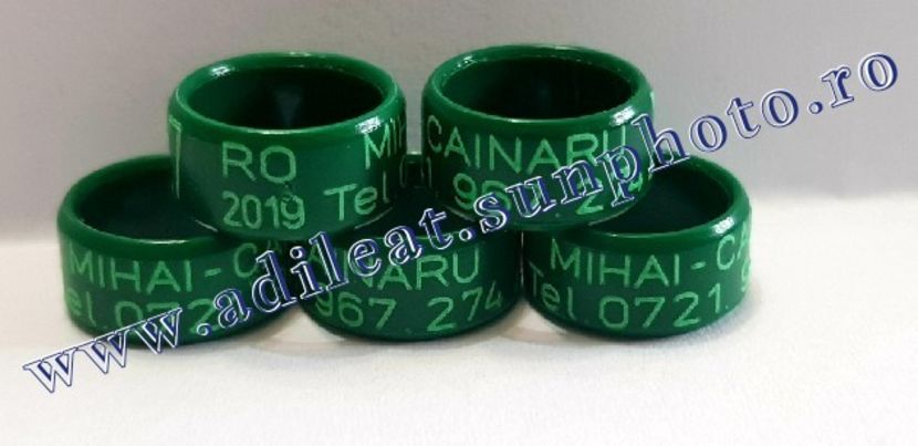 TextArt_190316073457 - 1-A-INELE PERSONALIZATE 2019