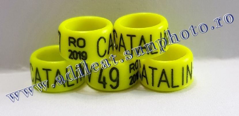 TextArt_190316073507 - 1-A-INELE PERSONALIZATE 2019