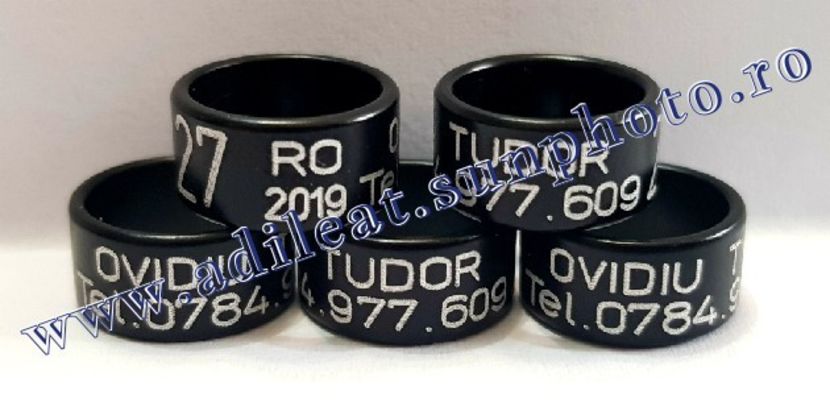 TextArt_190316073555 - 1-A-INELE PERSONALIZATE 2019