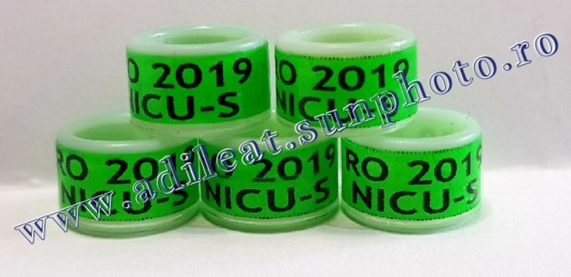 TextArt_190316073731 - 1-A-INELE PERSONALIZATE 2019