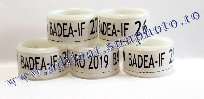 TextArt_190316073742 - 1-A-INELE PERSONALIZATE 2019