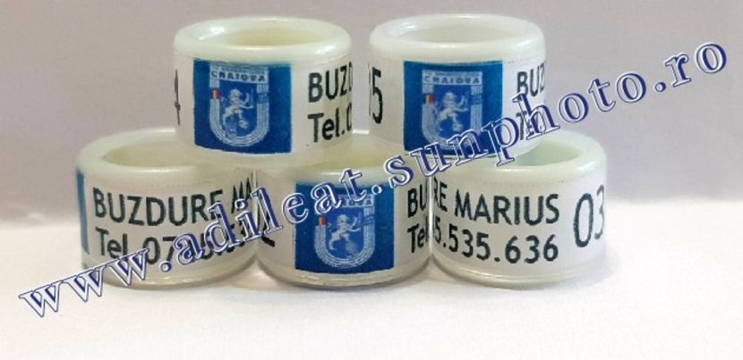 TextArt_190316073815 - 1-A-INELE PERSONALIZATE 2019