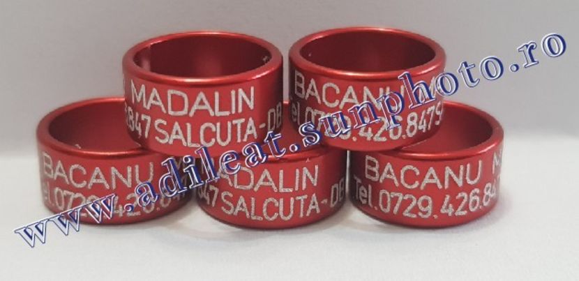 TextArt_190316073624 - 1-A-INELE PERSONALIZATE 2019