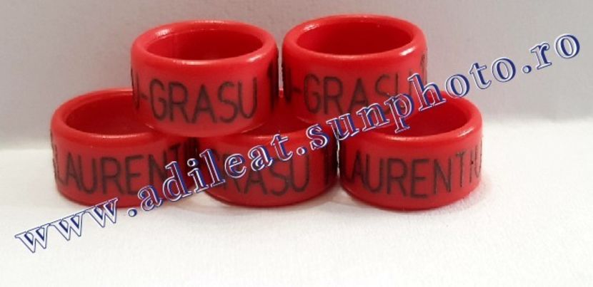 TextArt_190316073442 - 1-A-INELE PERSONALIZATE 2019