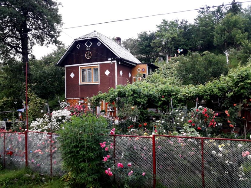  - ALBUM FINAL GRADINA 2018