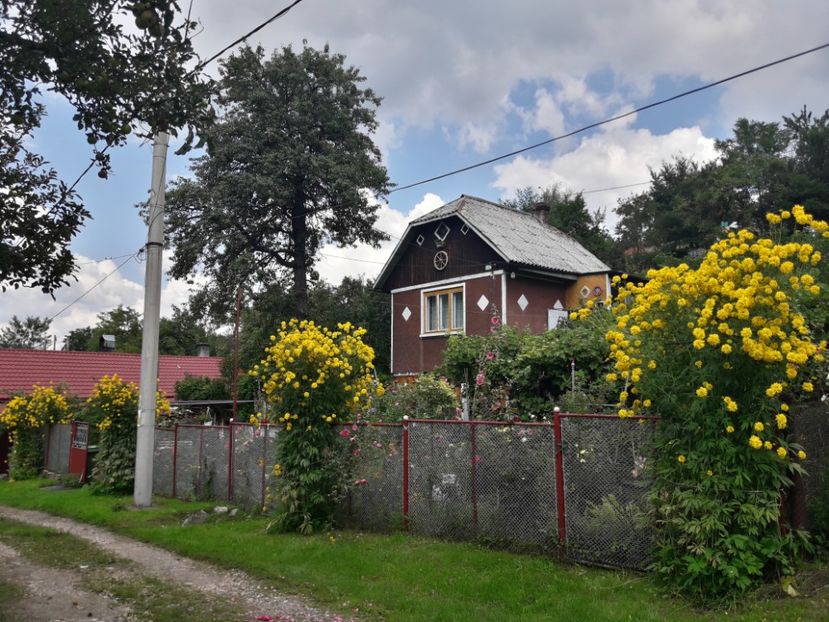  - ALBUM FINAL GRADINA 2018