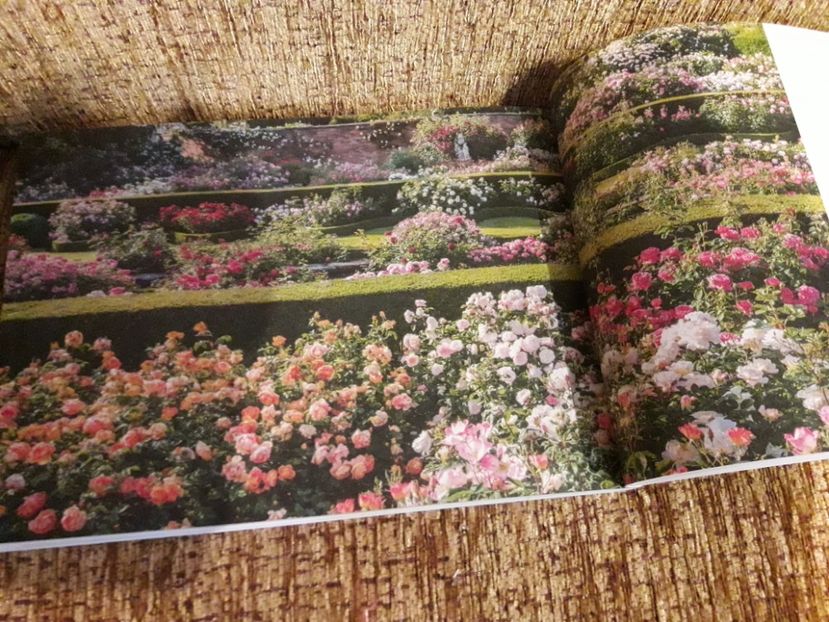  - ALBUM FINAL GRADINA 2018