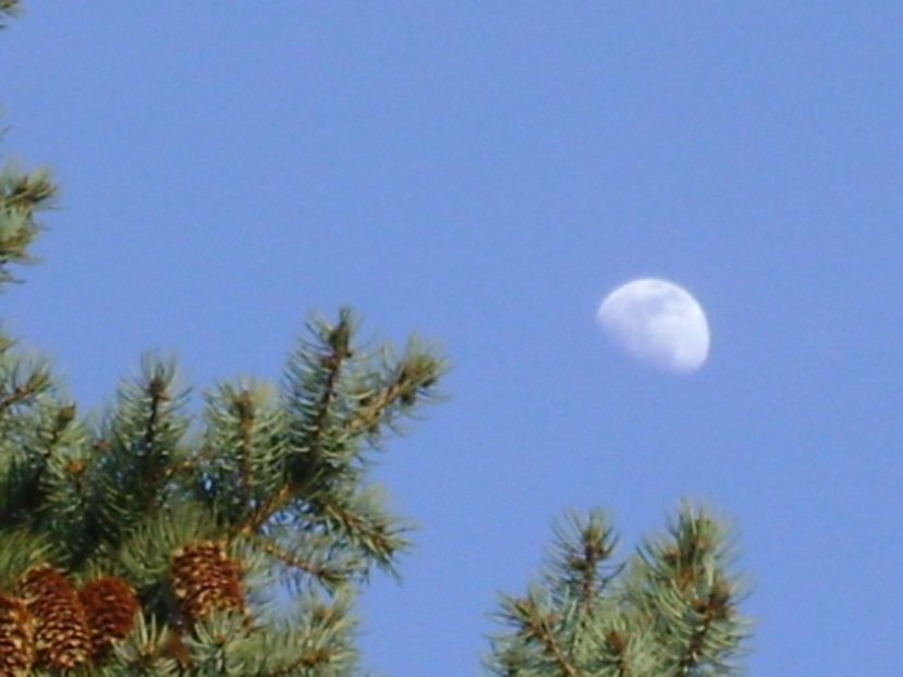 Primul patrar al Lunii in Rac - Luna - Soarele si norii - 1