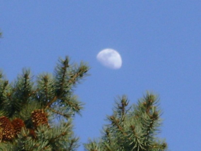 Primul patrar al Lunii in Rac - Luna - Soarele si norii - 1