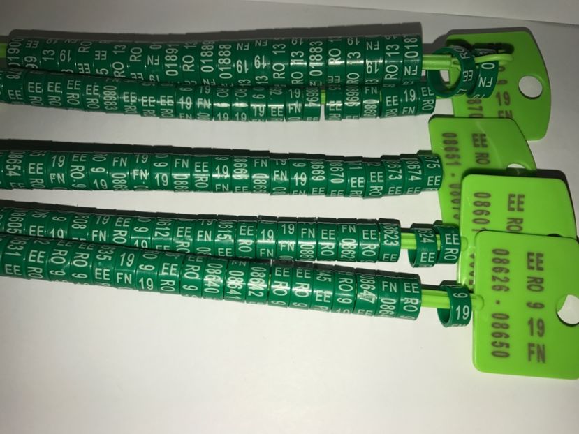  - Inele Federatie Ornament 2019 EE