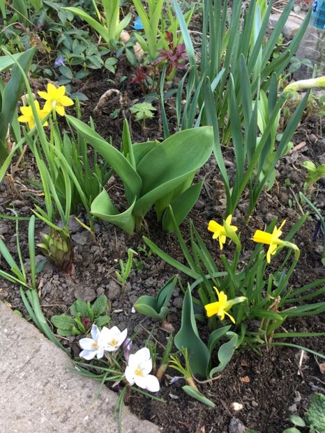 1B31F5C3-C842-416C-97F3-6358921D38B4 - Martie